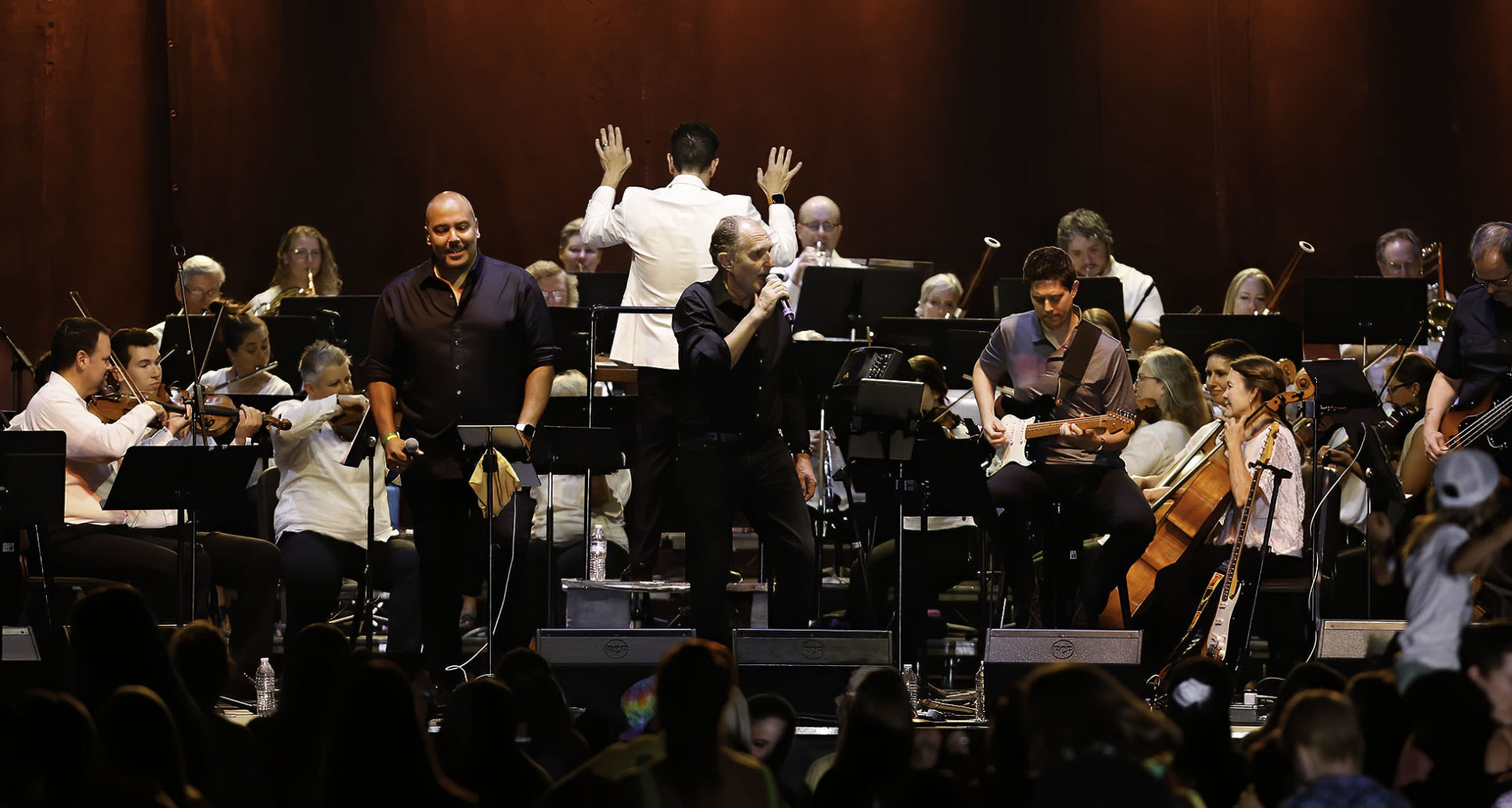 Symphony Under the Stars